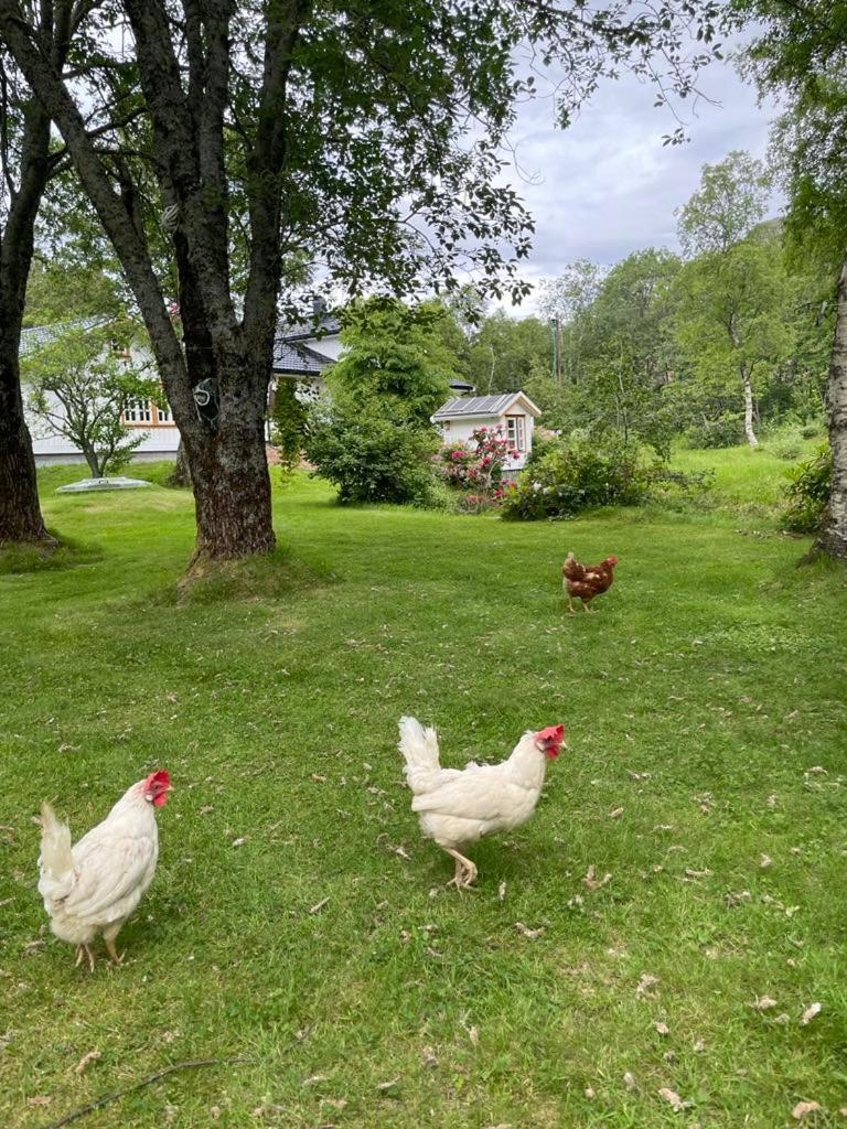 Leka Overnatting Solsem Exterior foto